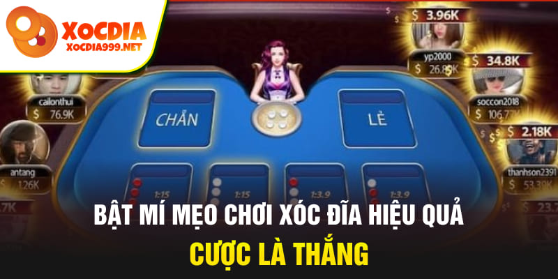 Bật mí mẹo chơi xóc đĩa hiệu quả, cược là thắng