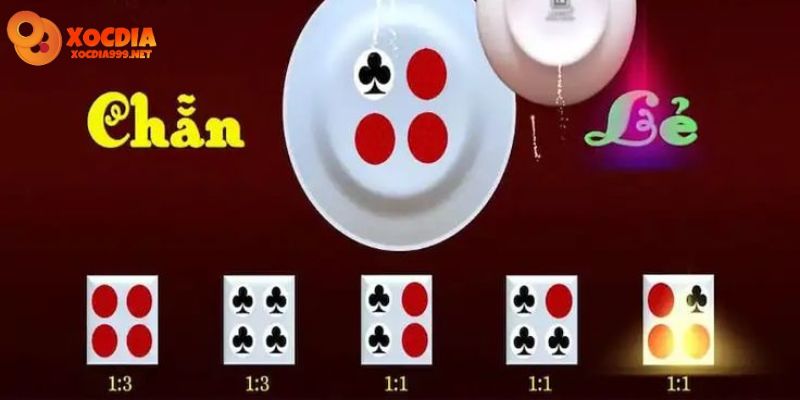 Tư vấn nhanh khi Download ứng dụng xóc đĩa